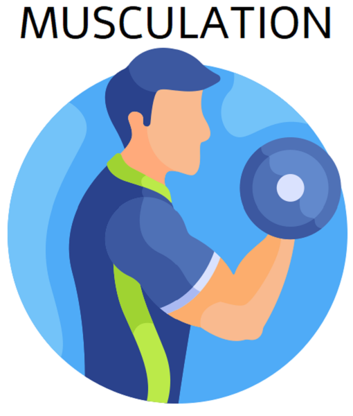 logo musculation